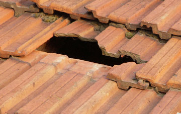roof repair Badshot Lea, Surrey